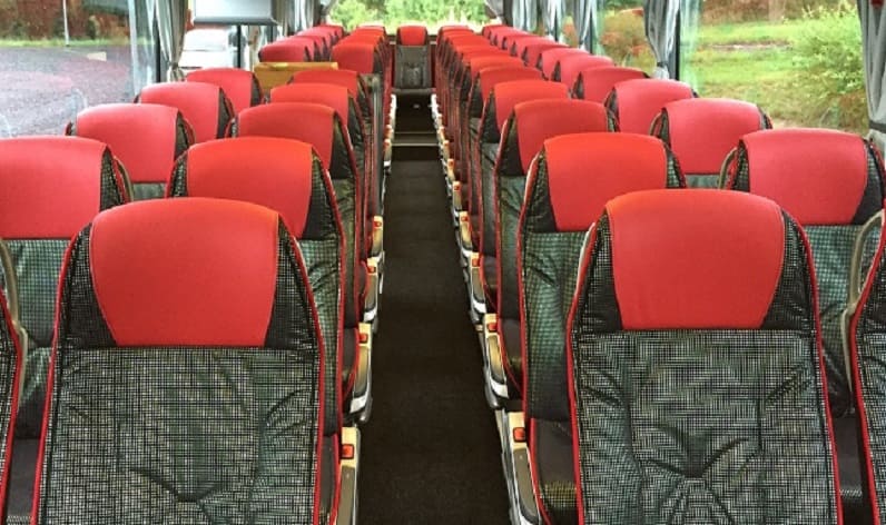 Burgenland: Coaches rent in Stadtschlaining in Stadtschlaining and Austria